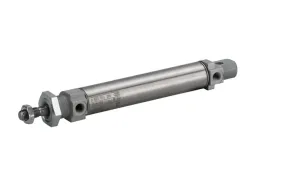 Cilindro pneumatico rotondo EMERSON ? AVENTICS MNI 0822333501, Doppio effetto, foro da 20mm, corsa 10mm, G 1/8, 10 bar